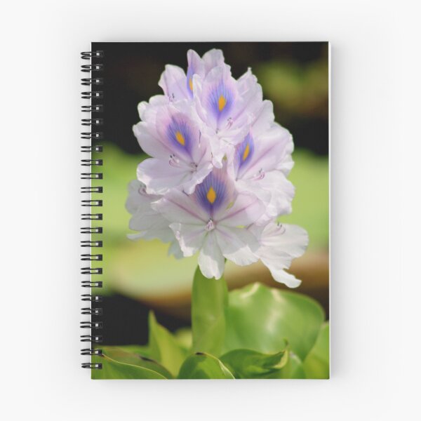 Artikelvorschau, Water hyacinth entworfen und verkauft von annalisa56.