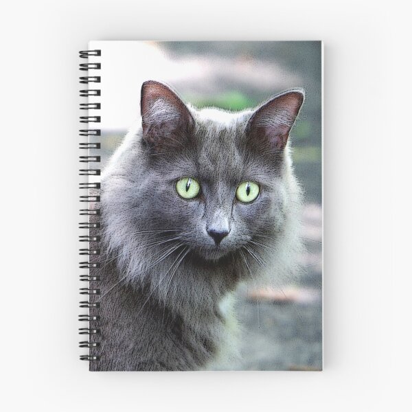 Item preview, Sasha (Special Effects) designed and sold by DigitallyStill.
