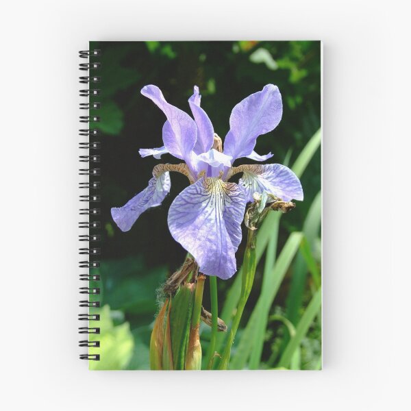 Item preview, Iris. designed and sold by MikeHonour.