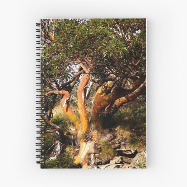 Item preview, Alpine Gum Tree designed and sold by Deirdreb.