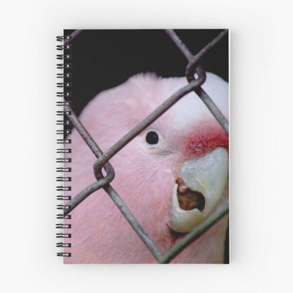 Item preview, Caged designed and sold by Tamara  Kenneally.