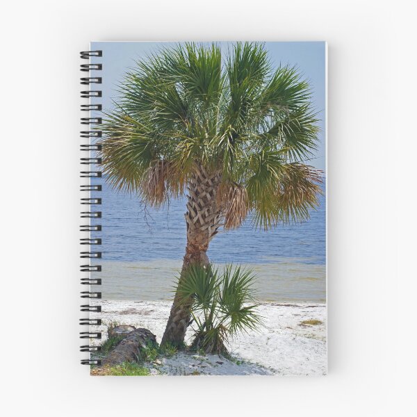 Item preview, Palm Tree by the Bay designed and sold by Sandy Keeton.