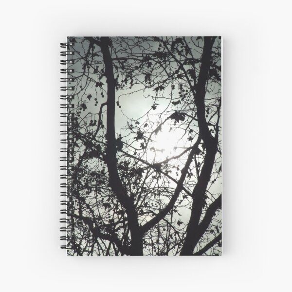 Item preview, Tree Silhouettes II designed and sold by Paul Todd.