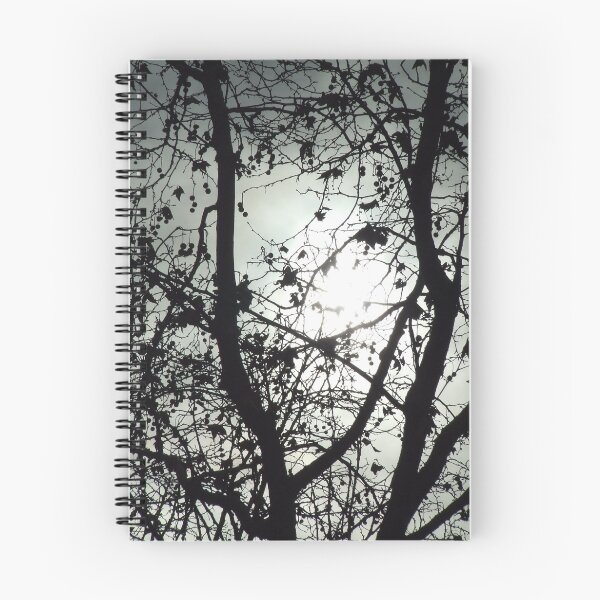 Item preview, Tree Silhouettes II designed and sold by Paul Todd.