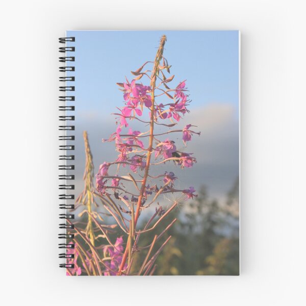 Item preview, Almost overlooked designed and sold by Alan Findlater.