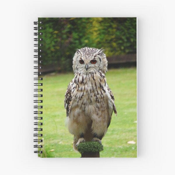 Item preview, Turkmenian Eagle Owl designed and sold by LumixFZ28.