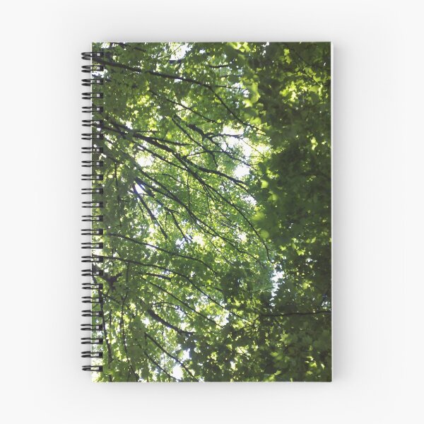 Item preview, Bute Park designed and sold by 'ö-Dzin Tridral.