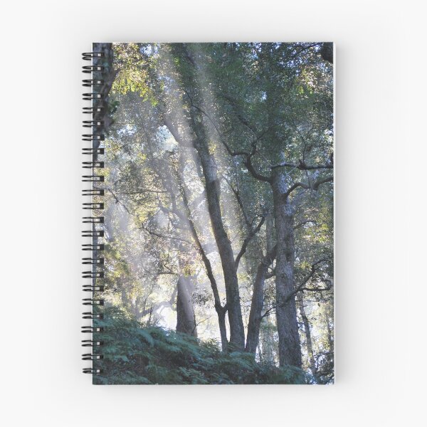 Item preview, Dangar Falls -Trees at sunrise designed and sold by Julie Sherlock.