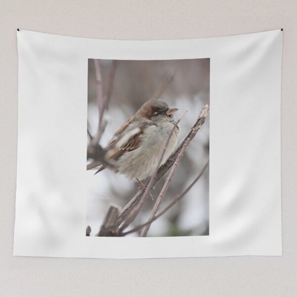 Item preview, Boston Bird designed and sold by Autumn Seas Photography.