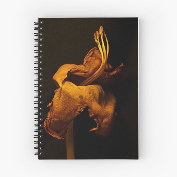 Aperçu de l'œuvre Diva in decay créée et vendue par Erika Gouws.