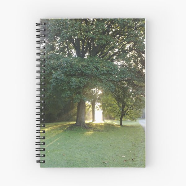 Item preview, Bute Park designed and sold by 'ö-Dzin Tridral.