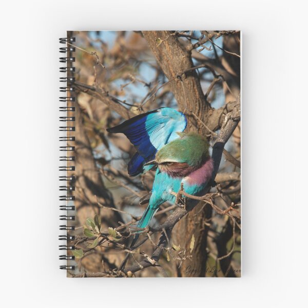 Item preview, Rainbow designed and sold by Leon Rossouw.