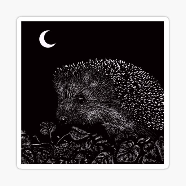Hedgehog by Moonlight Sticker