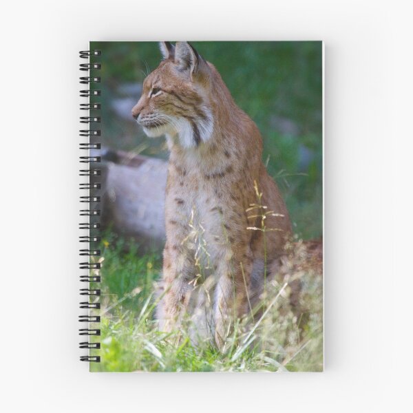 Item preview, Bobcat designed and sold by Katariina Lonnakko.