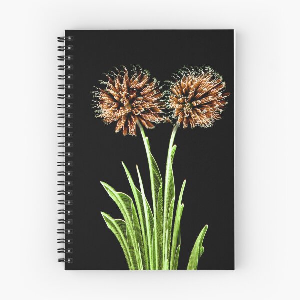 Item preview, Fireworks Flora designed and sold by cmlongworth.