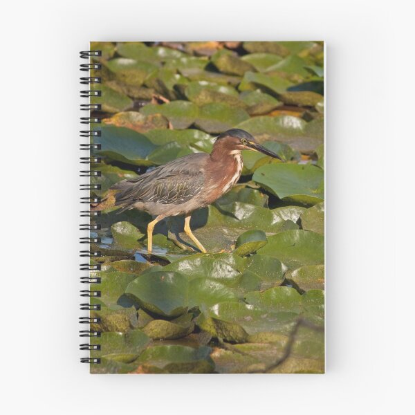 Artikelvorschau, Green Heron entworfen und verkauft von Barb White.