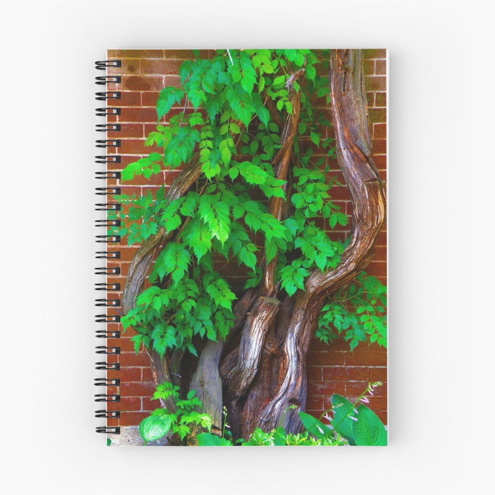 Item preview, Spiral Notebook designed and sold by AlteredPaths.