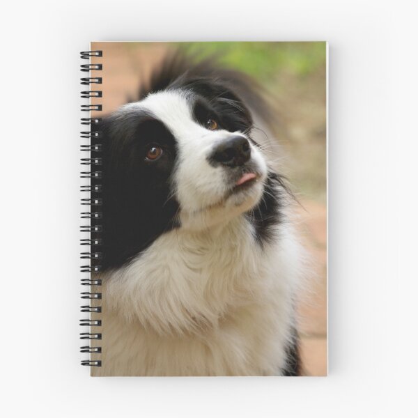 Item preview, Larry designed and sold by Tamara  Kenneally.