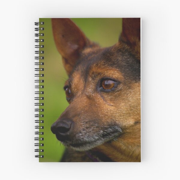 Item preview, Jack Russell  X designed and sold by Tamara  Kenneally.