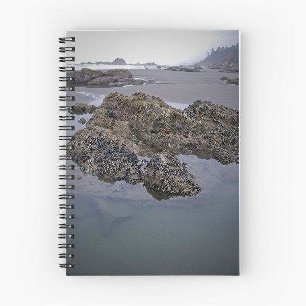 Item preview, Starfish rocks designed and sold by mmlay.