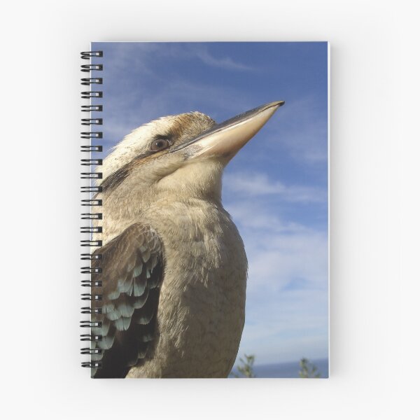 Item preview, Kookaburra designed and sold by largo.