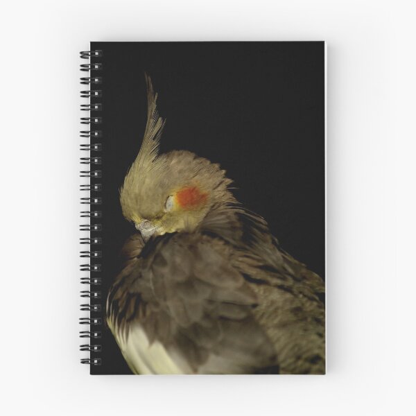 Item preview, Dozing Cockatiel designed and sold by Tamara  Kenneally.