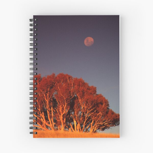 Item preview, Tinderry Moon designed and sold by Melanie Roberts.