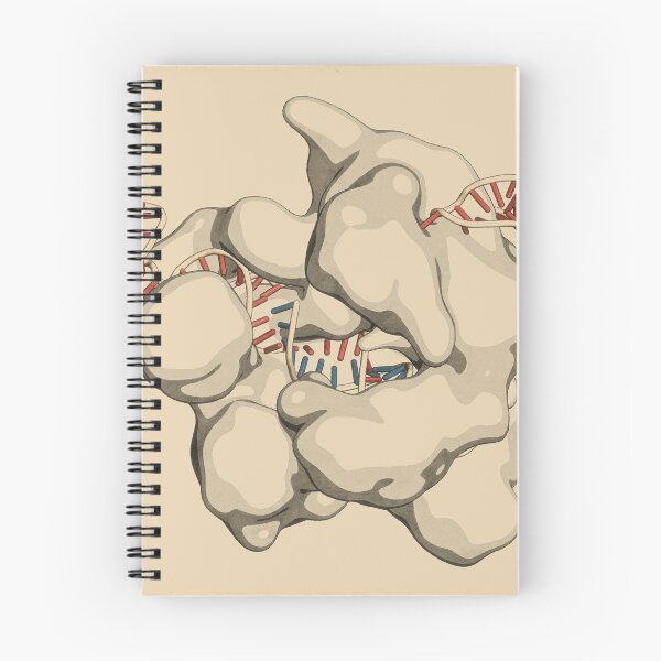 Item preview, CRISPR  - CAS9 gene editing complex designed and sold by molekuul.