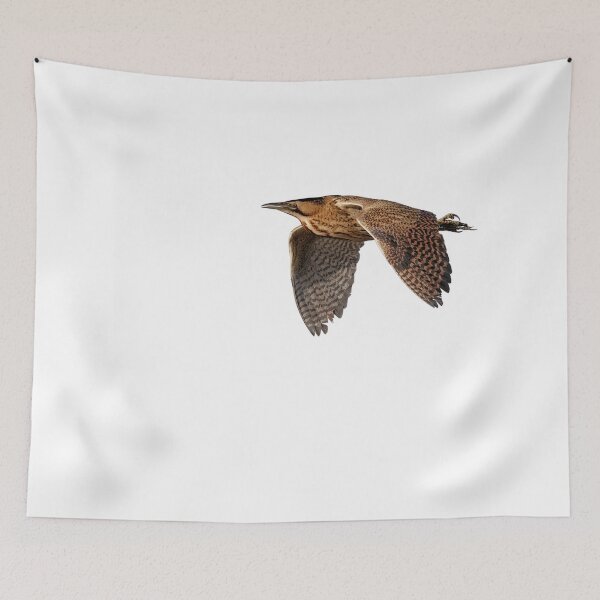 Item preview, European Bittern (Botaurus stellaris) designed and sold by Richard Nicoll Photography.