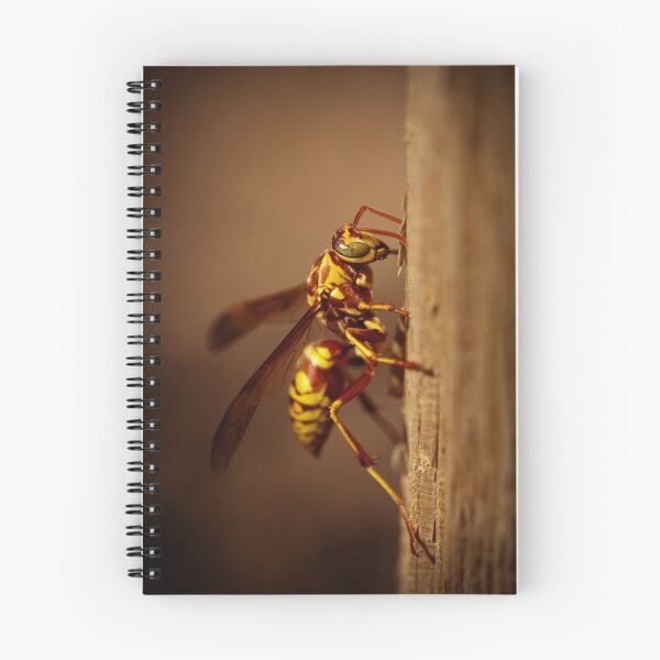Item preview, Wasp designed and sold by psnoonan.