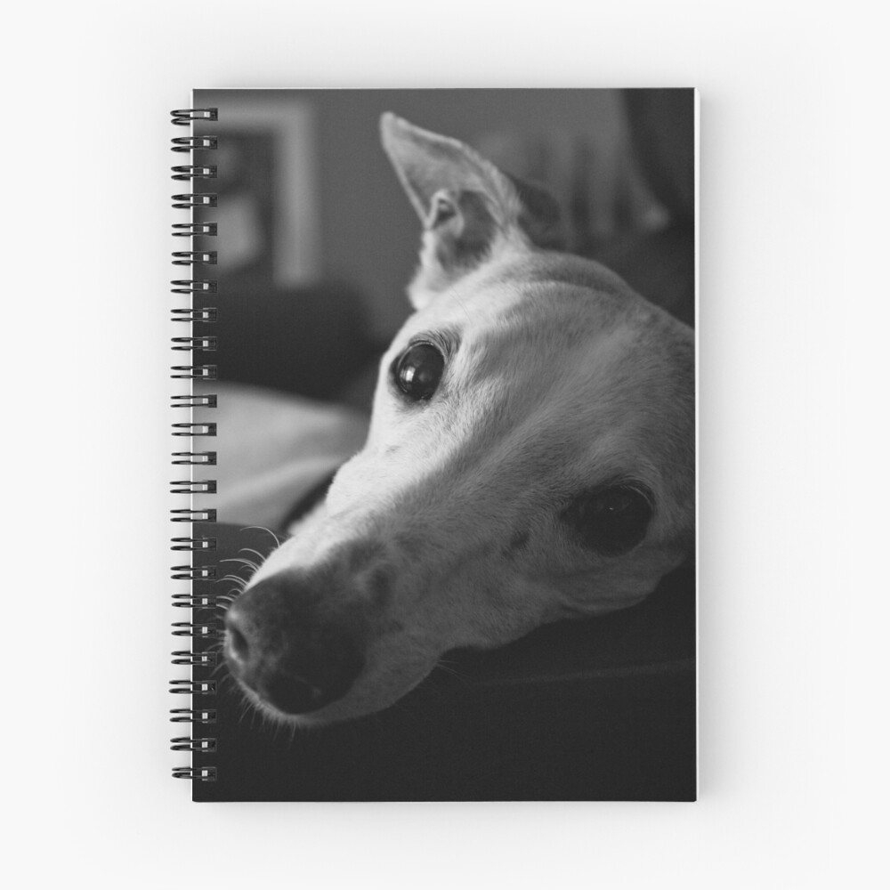 Item preview, Spiral Notebook designed and sold by mattduncan.