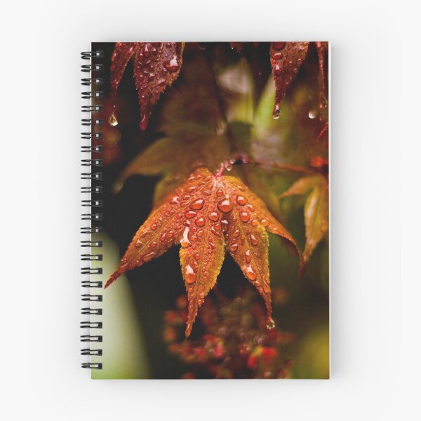 Item preview, When the Rain Comes designed and sold by Jane Brack.