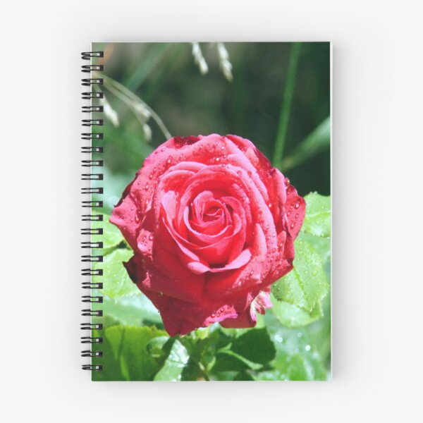 Item preview, A Rose is a Rose designed and sold by tkrosevear.