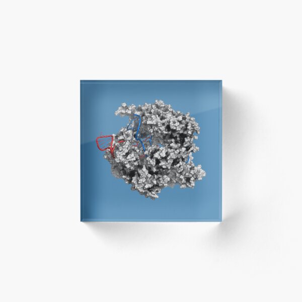 CRISPR - CAS9 gene editing complex Acrylic Block