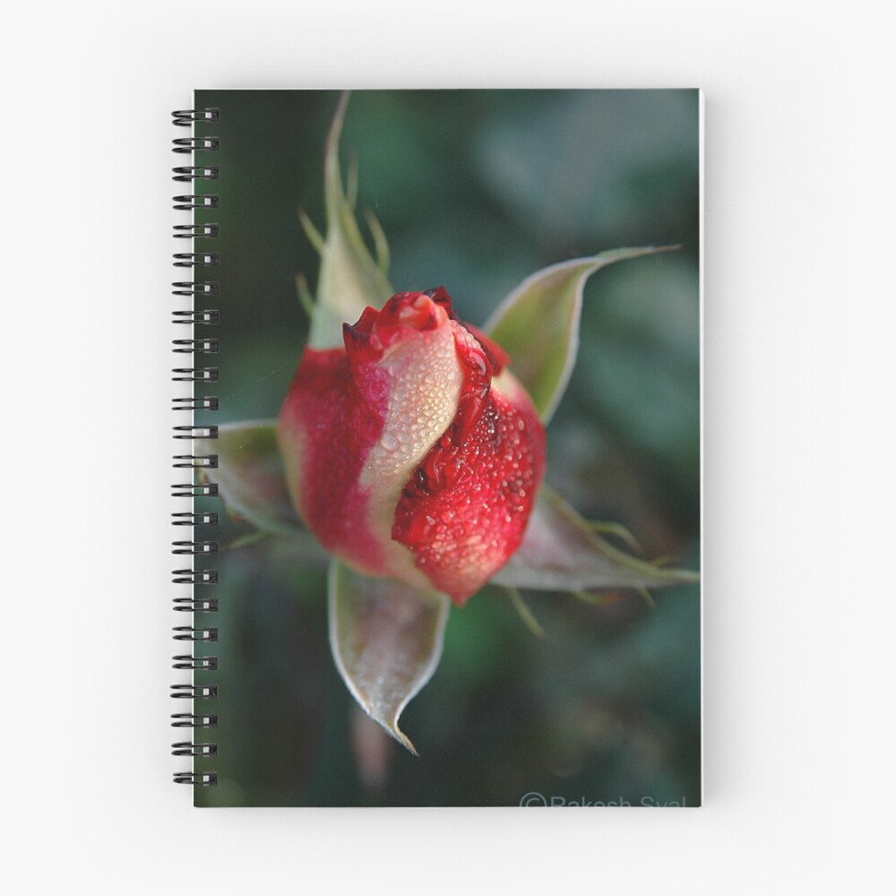 Item preview, Spiral Notebook designed and sold by RakeshSyal.