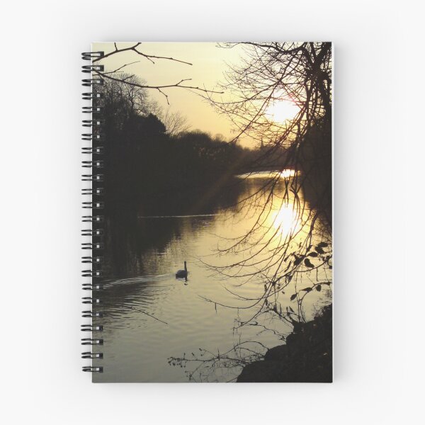 Item preview, Swan on the Taff at Sunset designed and sold by 'ö-Dzin Tridral.