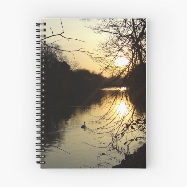 Item preview, Swan on the Taff at Sunset designed and sold by 'ö-Dzin Tridral.