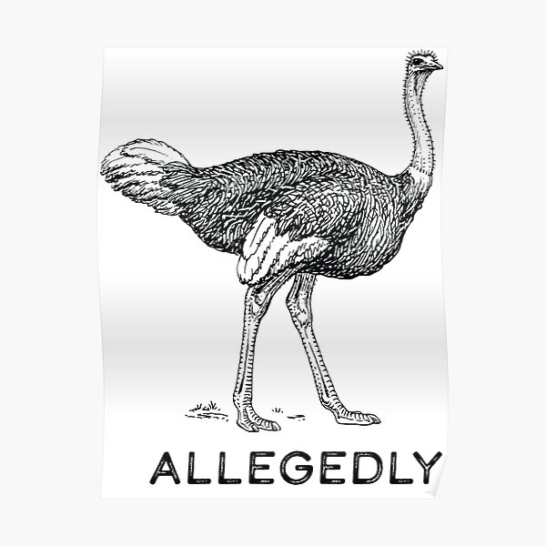 Allegedly Poster