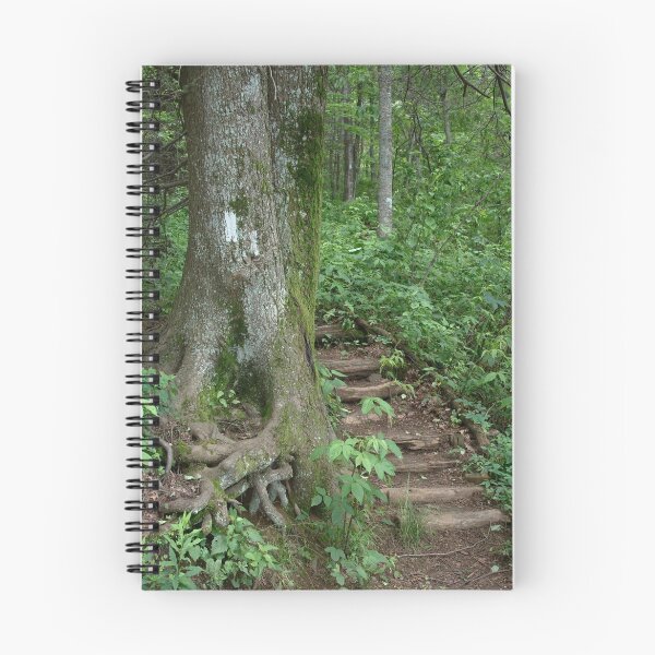 Artikelvorschau, The Appalachian Trail entworfen und verkauft von MountainLover.