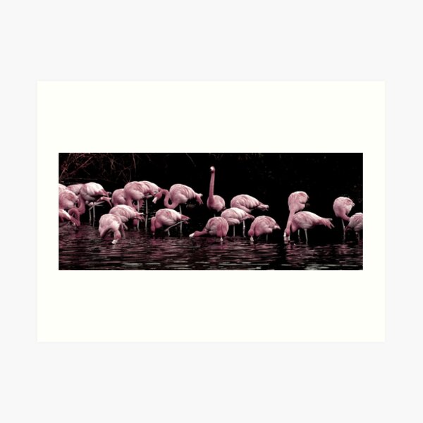 Pale Pink Panorama Art Print