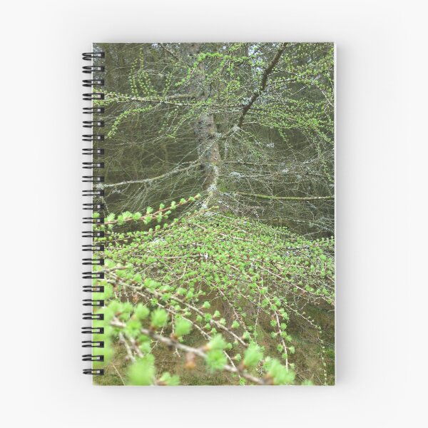 Item preview, Sgwd yr Eira Woods designed and sold by 'ö-Dzin Tridral.