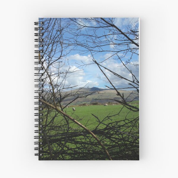 Item preview, Brecon Visitor Centre designed and sold by 'ö-Dzin Tridral.
