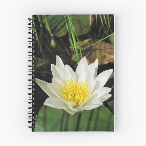 Item preview, Water Lily designed and sold by ilkka.