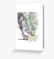 Nuthatch Greeting Card