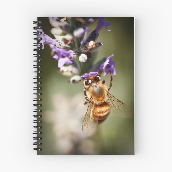 Item preview, Bee on Lavender designed and sold by psnoonan.