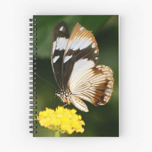 Item preview, Butterfly designed and sold by Wayne Gerard Trotman.