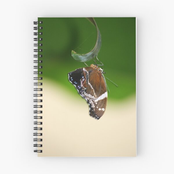 Item preview, Butterfly designed and sold by Wayne Gerard Trotman.