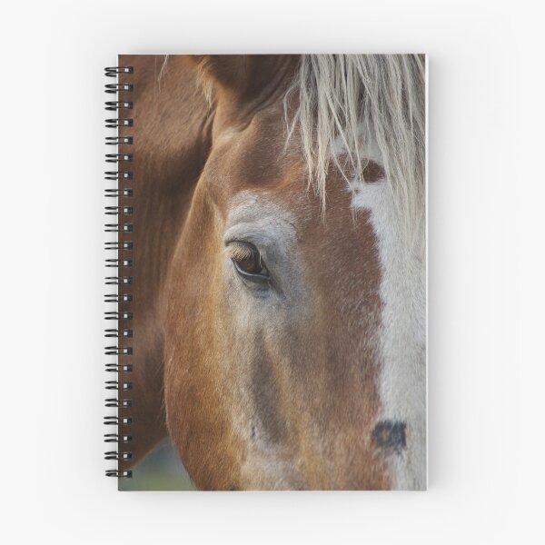 Item preview, Moonshadow designed and sold by UILFineArts.