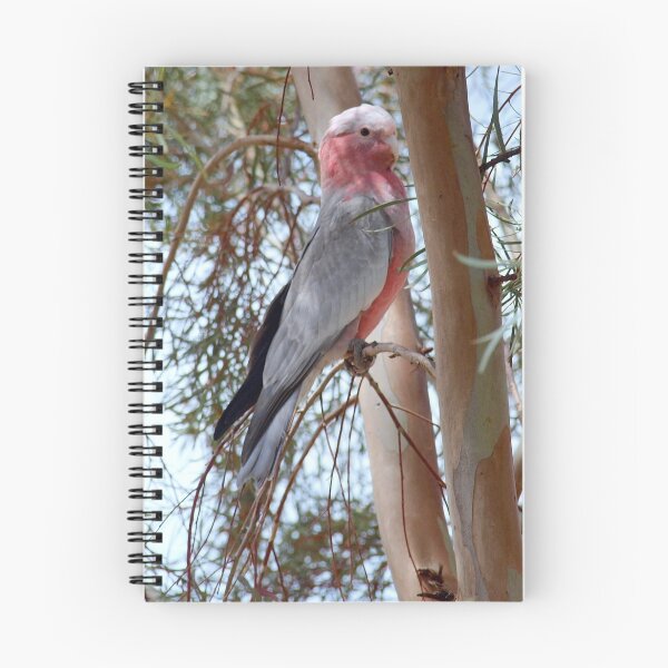 Item preview, Galah © designed and sold by Clive.