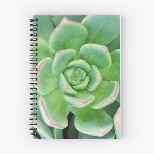 Artikelvorschau, Cactus Rose entworfen und verkauft von Annie Street.